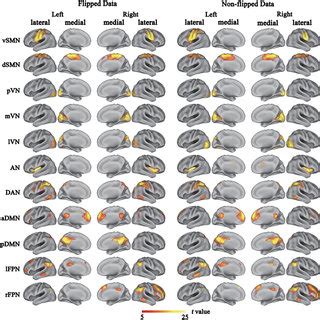 Cortical Representation Of The Resting State Networks Rsns Identified