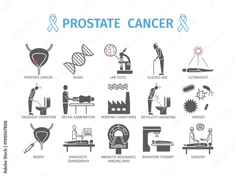 Prostate Cancer Symptoms Causes Diagnostics Flat Icons Set Vector