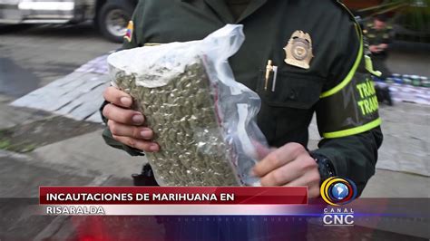 Incautados 300 Kilos De Marihuana Cripy En Risaralda Youtube