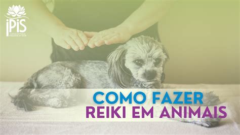 Como fazer Reiki em animais Confira dicas para aplicação de Reiki