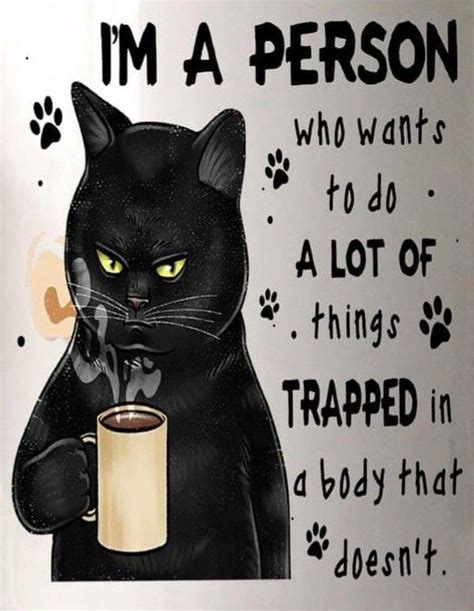 Pin By Kris Strate On Funnies Cute Cat Quotes Cat Quotes