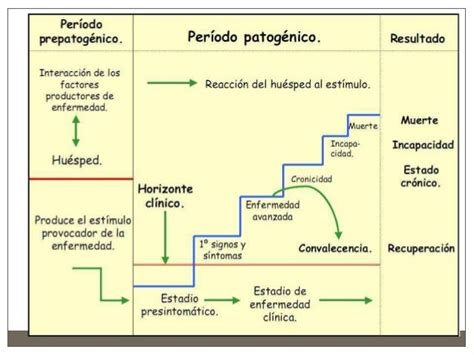 Historia Natural De La Enfermedad