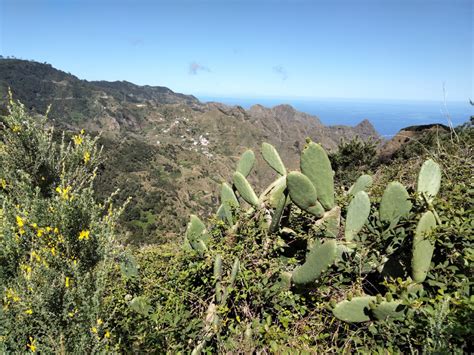 Monti Anaga Di Tenerife Trekking Tra Campi Monti E Oceano