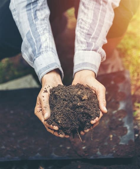 Femininas agricultor segurando solo arável arado sujeira em