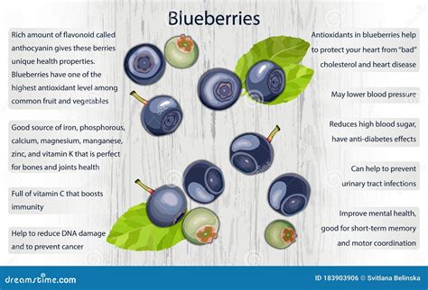 Blueberry Health Benefits Infographics on Wooden Background Stock ...