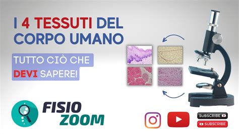 I TESSUTI DEL CORPO UMANO Quello che c è da sapere FisioMap YouTube