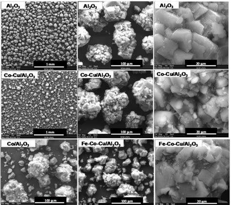 Imágenes de microscopía electrónica de barrido SEM de la alúmina