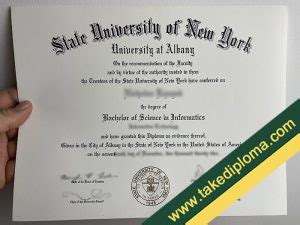 Where To Buy SUNY Albany Fake Diploma Certificate