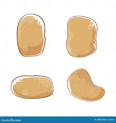 Vector Funny Cartoon Cute Brown Potatoes Set Isolated On White