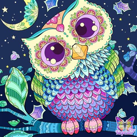 Pin By On Owl Coloring Pages Owl Painting