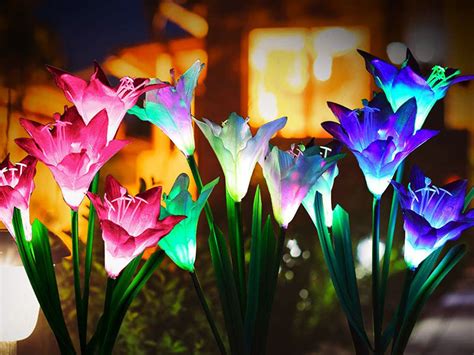 Ces Féeriques Fleurs de Jardin sont des Lampes LED Solaires MaxiTendance