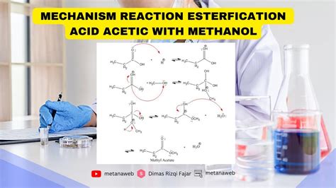 Reaction Mechanism Esterification Acetic Acid With Methanol YouTube