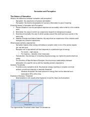 Understanding Sensation And Perception Key Concepts And Course Hero