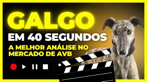 GALGO EM 40 SEGUNDOS AVB A MELHOR ANÁLISE DO MERCADO YouTube