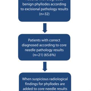 The diagram shows evaluation of core needle biopsy results with ...