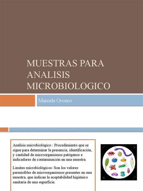 Toma De Muestras Para Analisis Microbiologico Pdf Microbiología Agua