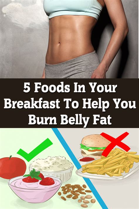 5 Foods In Your Breakfast To Help You Burn Belly Fat Live With Fit