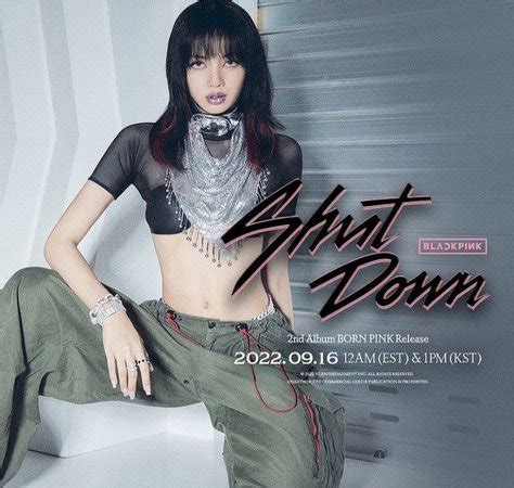 Lisa Shutdown Teaser Outfit Shoplook