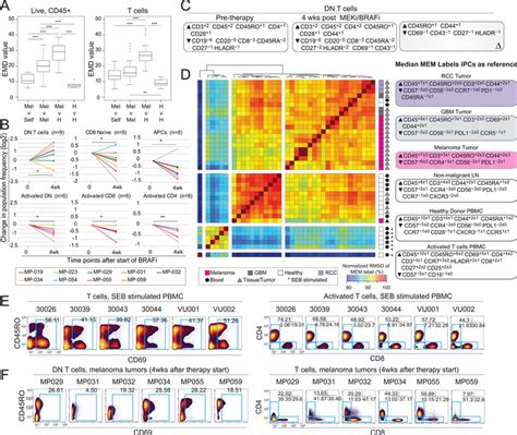 Computational Immune Monitoring Reveals Abnormal Double Negative T