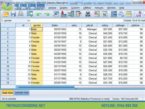 Cách chạy thống kê mô tả trong SPSS