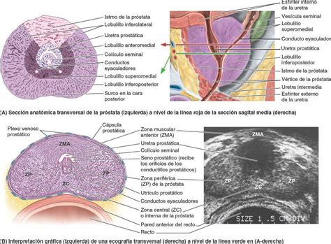 Fig 6 38