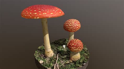 Mushroom9 Fly Agaric Buy Royalty Free 3d Model By Zacxophone