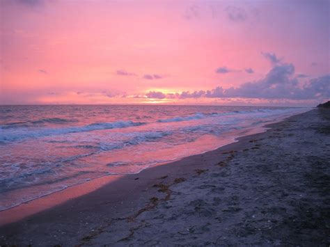 South Venice Beach at sunset | Venice florida, Beautiful beaches ...