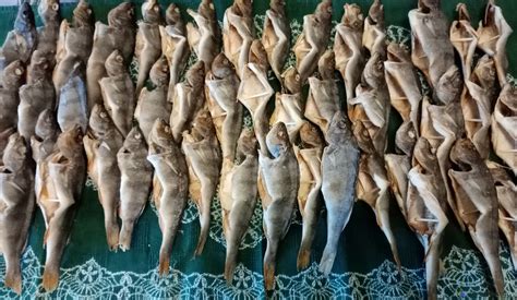 Сушеная рыба купить в Апатитах за 700 руб- Продукты на Хибины.ru
