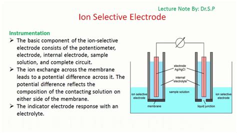 Schematic Diagram Of Ion Selective Electrode Description Ion