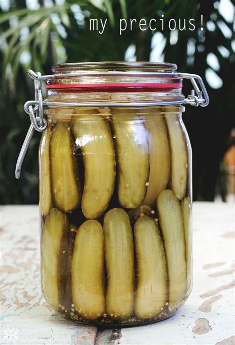 Pickles De Pepino Feito Em Casa Ideias Como Fazer Picles E Receitas