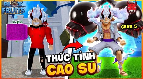 Trái Cao Su Trong Blox Fruit Mạnh Không Hệ Gì [combo V2]