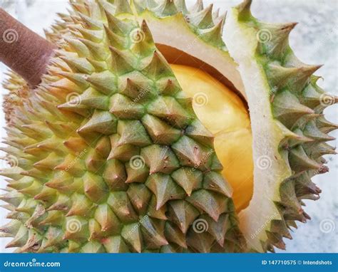 Yellow Durian In Side Mon Thong Durian Fruit Stock Image Image Of