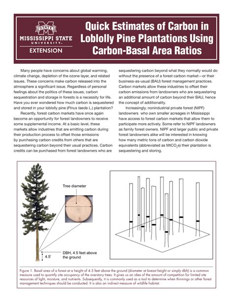 Pdf Quick Estimates Of Carbon In Loblolly Pine Plantations Using