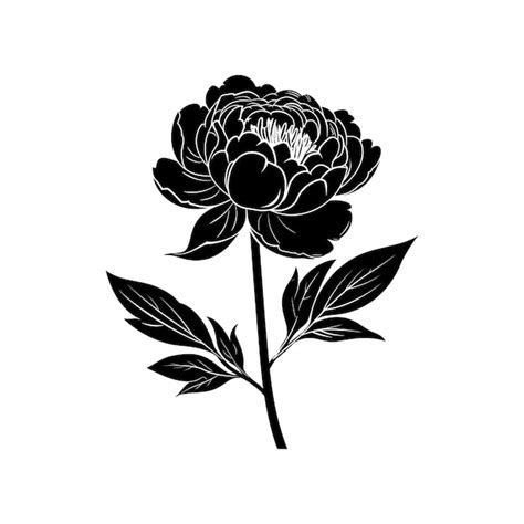 Premium Vector Peony Flower Vector Illustration