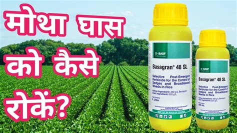 Basaf Basagran Herbicide Basagran Herbicide