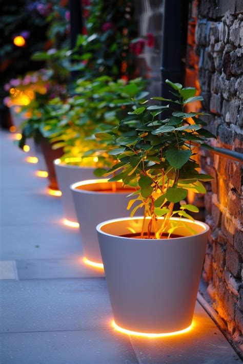 Outdoor Planter Lights In 2024 Outdoor Planters Amazing Landscaping