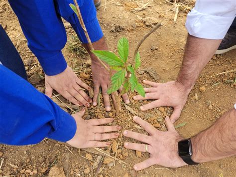 Restauração ecológica resposta para um futuro sustentável Reservas