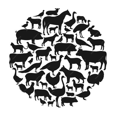 Premium Vector Vector Farm Animals Silhouettes Isolated On White