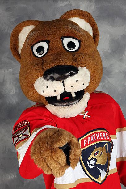 Florida Panthers Headshots Photos And Images Getty Images