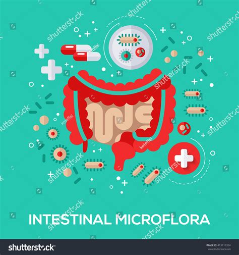 Intestinal Microflora Flat Icons Concept Vector Stock Vector Royalty