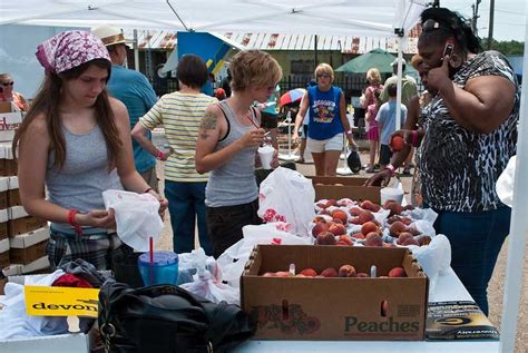 Ruston Peach Festiva Zane Noor