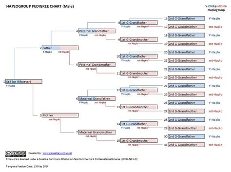 Blog - Genealogy Junkie