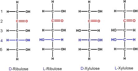 BCH 4053 Biochemistry I