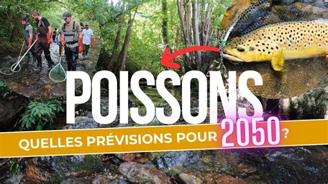 Quel Avenir Pour Nos Poissons En Youtube