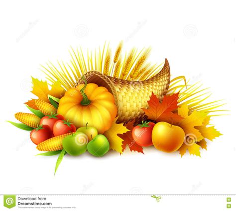 Thanksgiving Cornucopia With Vegetables Vector Illustration | CartoonDealer.com #79156476