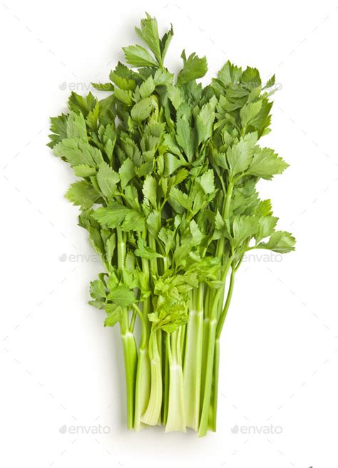 Bunch of fresh celery stalk. Stock Photo by jirkaejc | PhotoDune