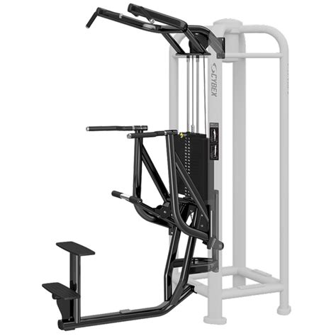 Cybex Dip Chin Assist Life Fitness