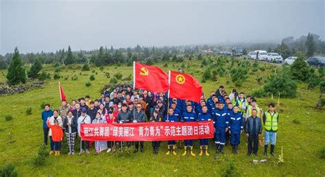 丽江共青团开展“绿美丽江 青力青为”示范主题团日活动 丽江市林业和草原局 关注森林网