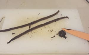 Vanilla Creme Brulee – Who needs a diet?