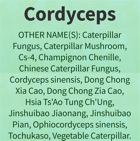 CORDYCEPS: Overview, Uses, Side Effects, Precautions, Interactions ...